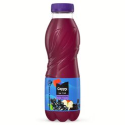 kincsemabc-hu-cappy-ice-fruit-bogyosgyumolcs-mix-0-5l